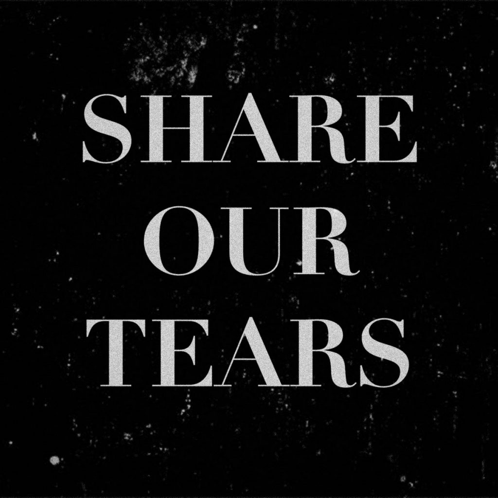 Single: Vain Pursuit – Share Our Tears