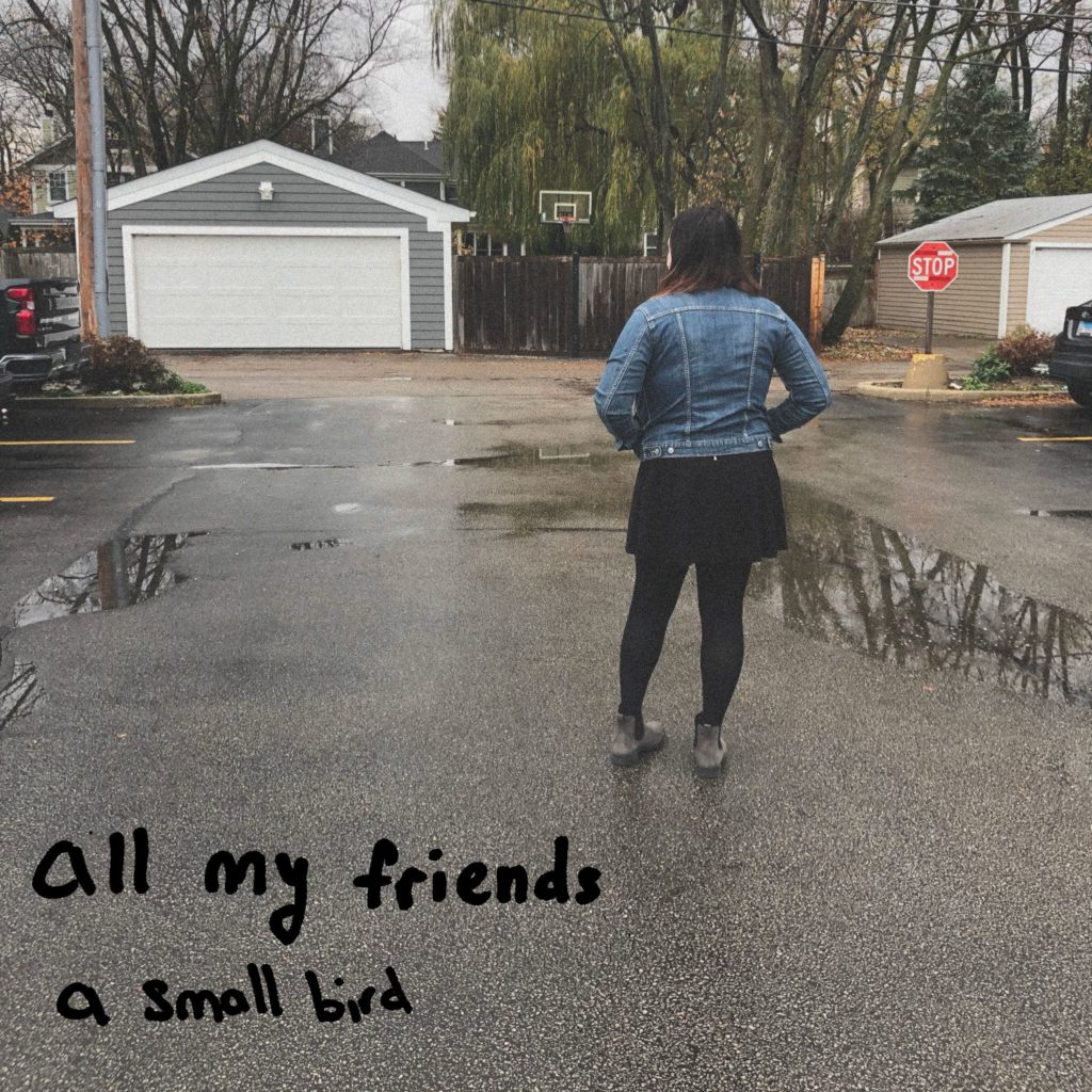 Single: a small bird x Nick Navari – all my friends