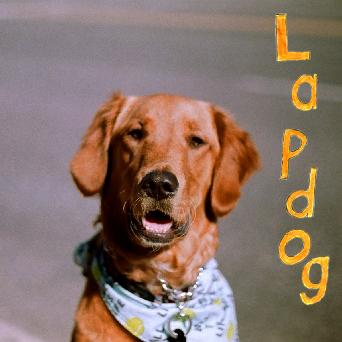 Single Disaster Kid Lapdog START TRACK
