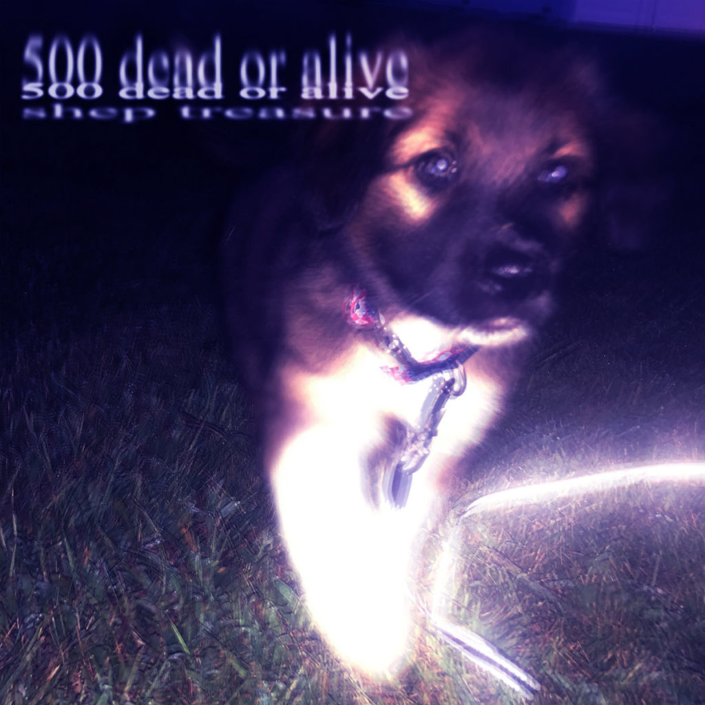 Introducing: Shep Treasure – 500 Dead Or Alive & 3 Questions