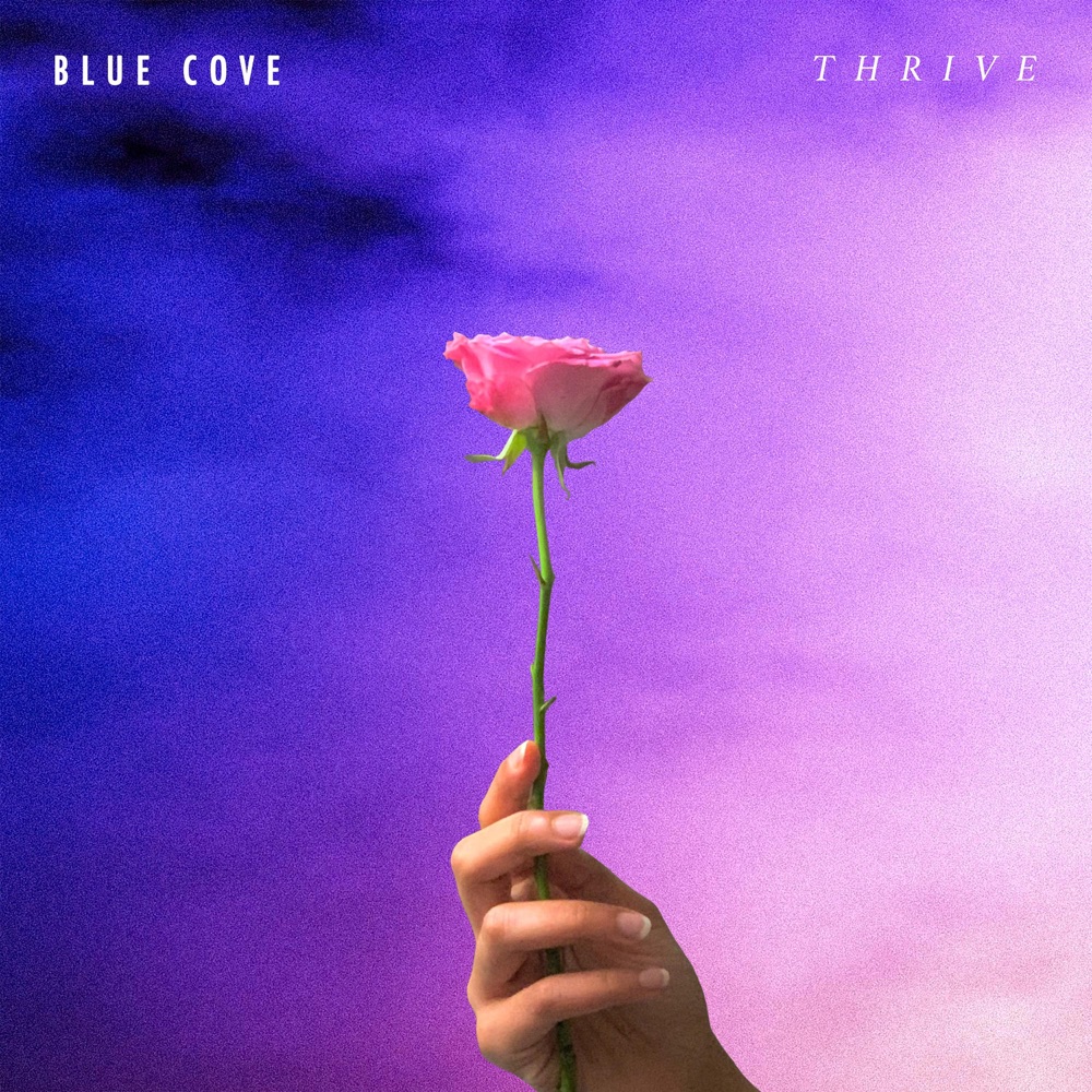 Introducing: Blue Cove – Thrive & 3 Qs