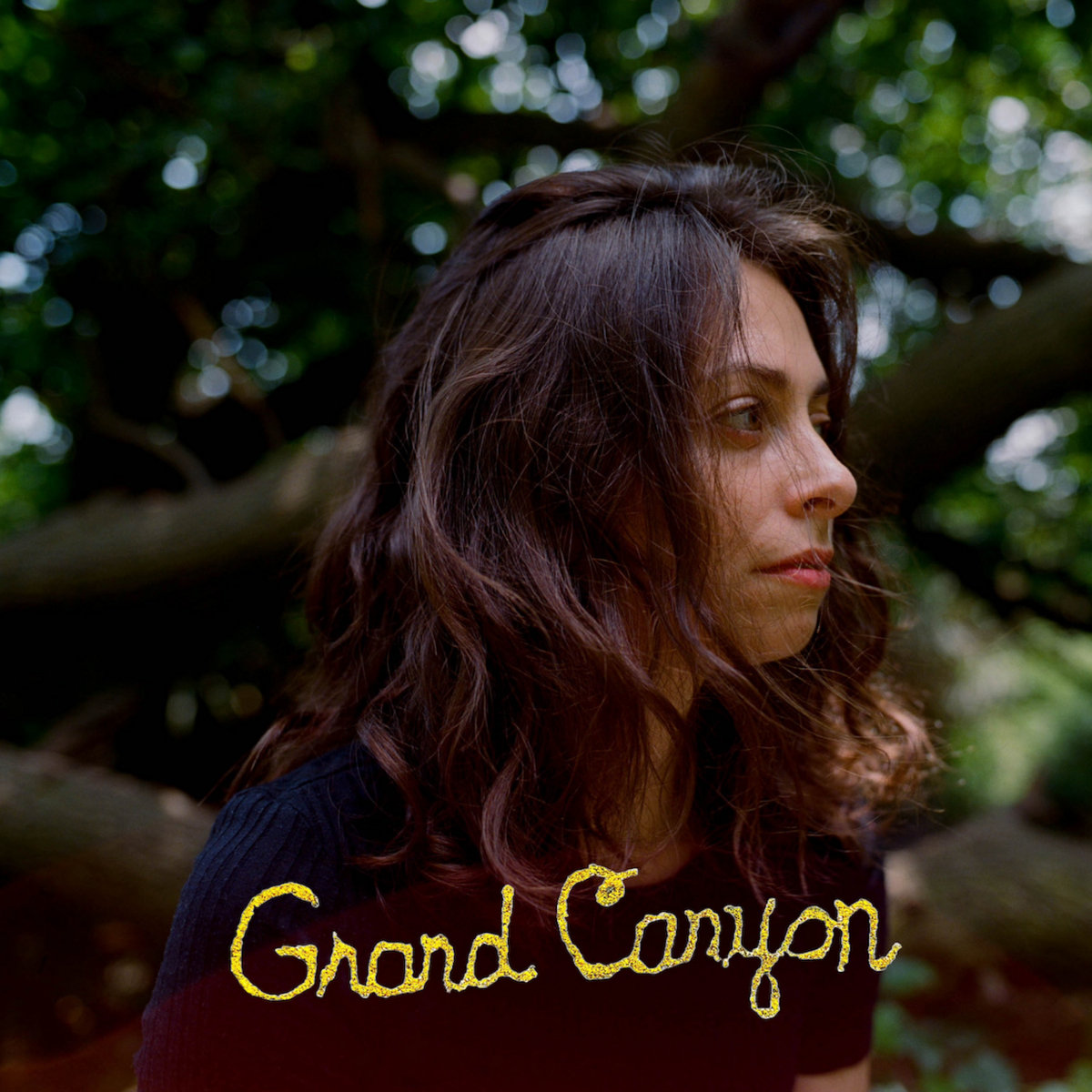 Single: Randle Browning – Grand Canyon