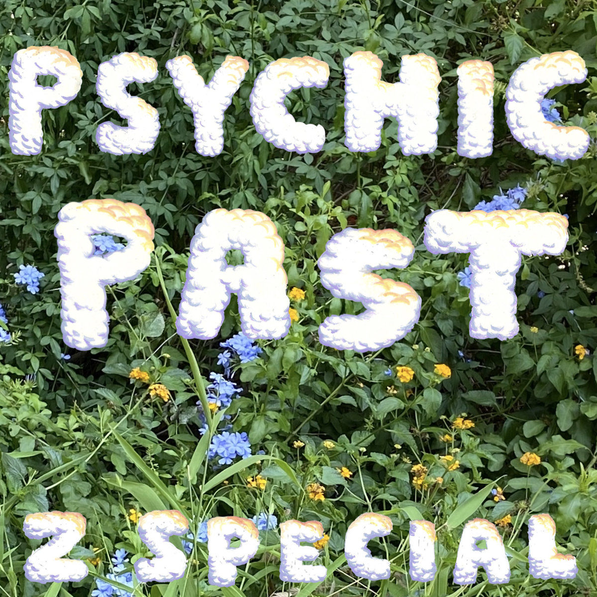 Introducing: Z Special – Psychic Past & Qs