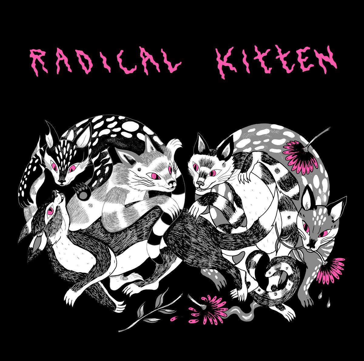 Album: Radical Kitten – Uppercat