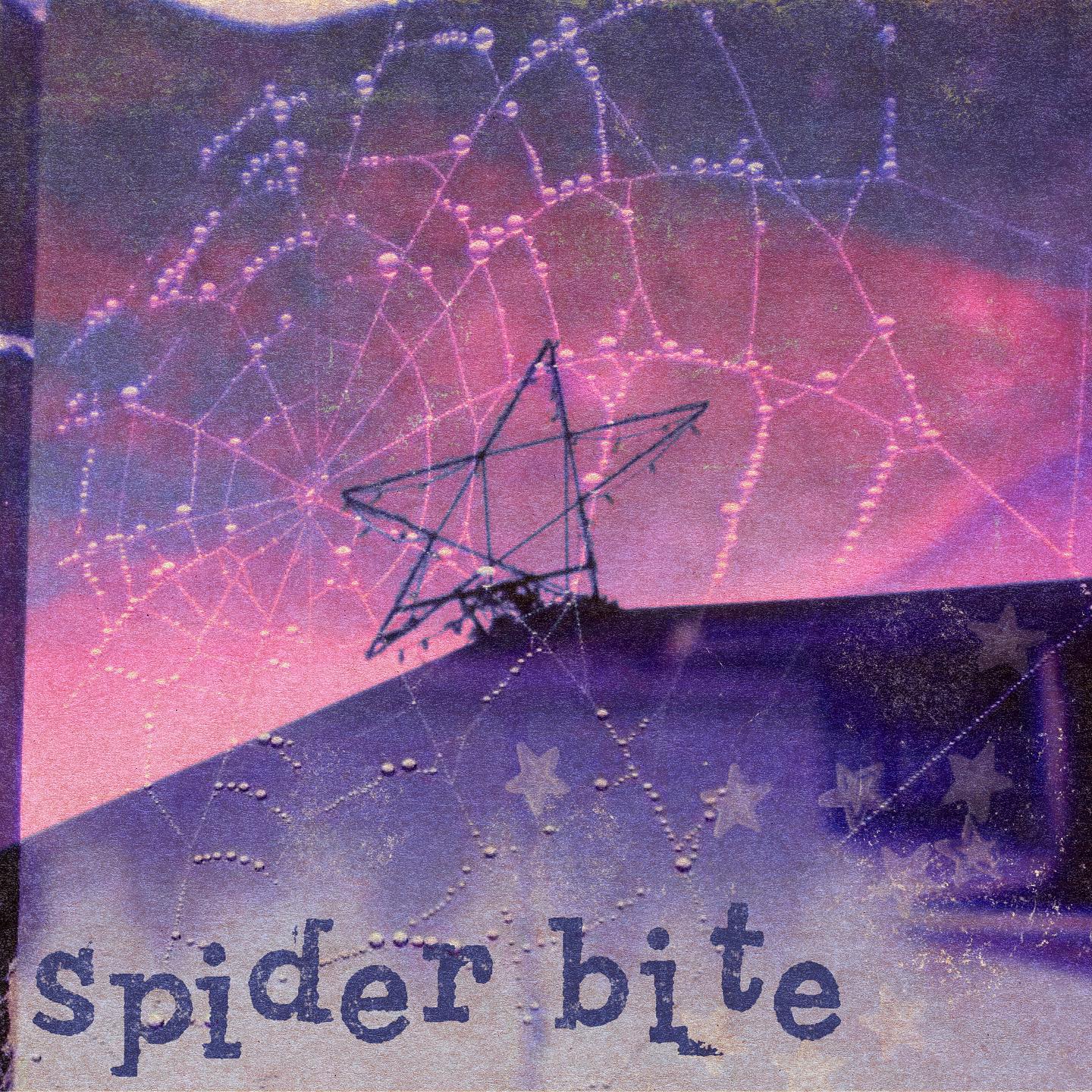 Single: mall goth – Spider Bite