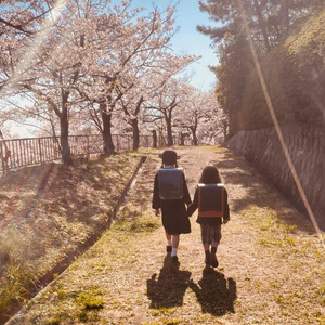 Single: Maria Rabbit – Springtime In Kyoto
