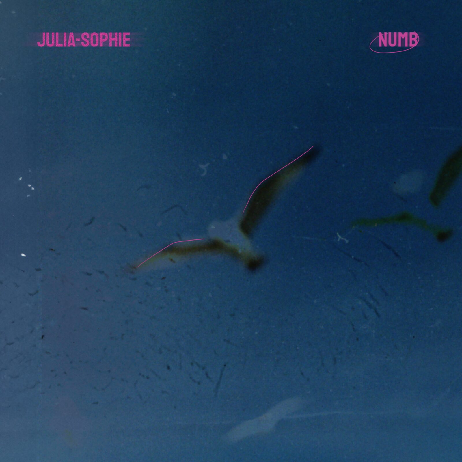 Single: Julia-Sophie – Numb