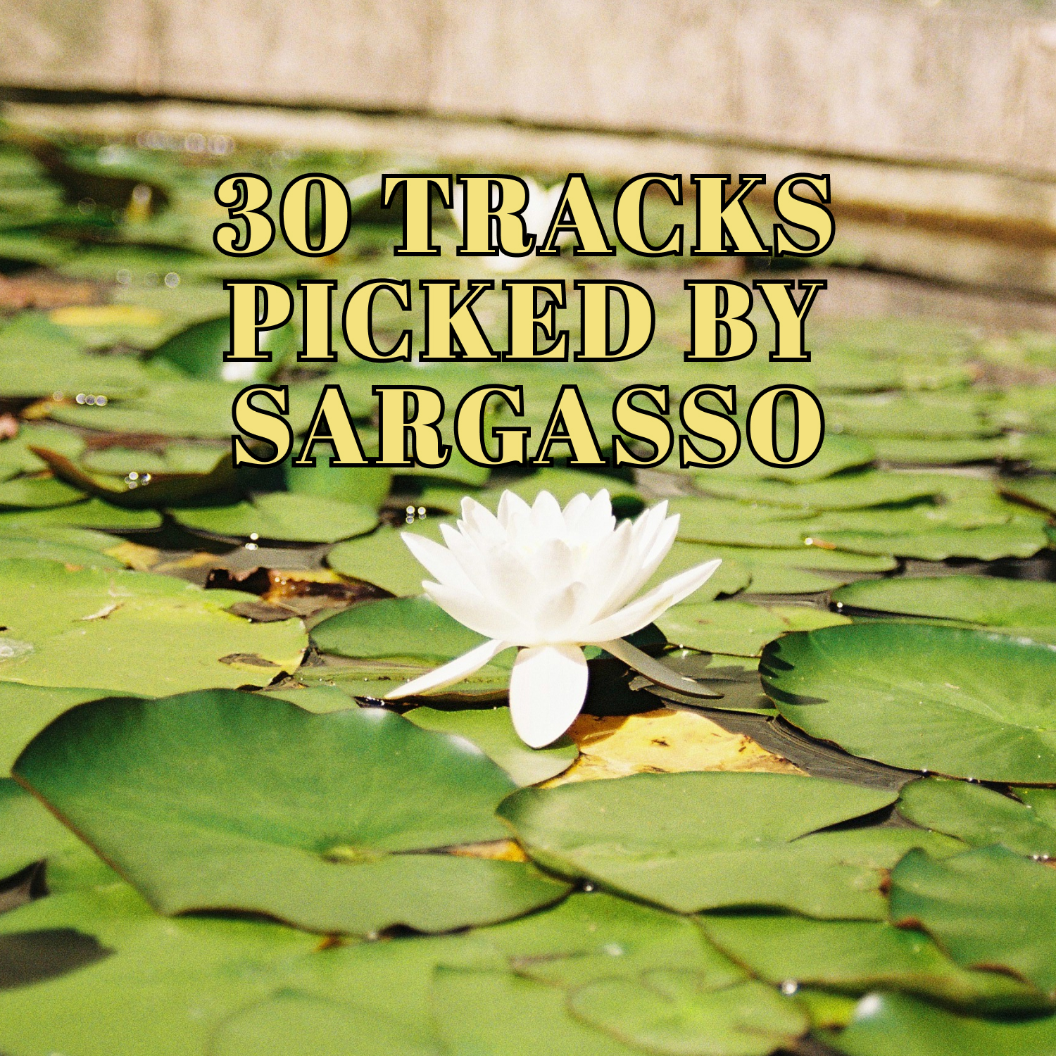 30 TRACKS PICKED BY SARGASSO