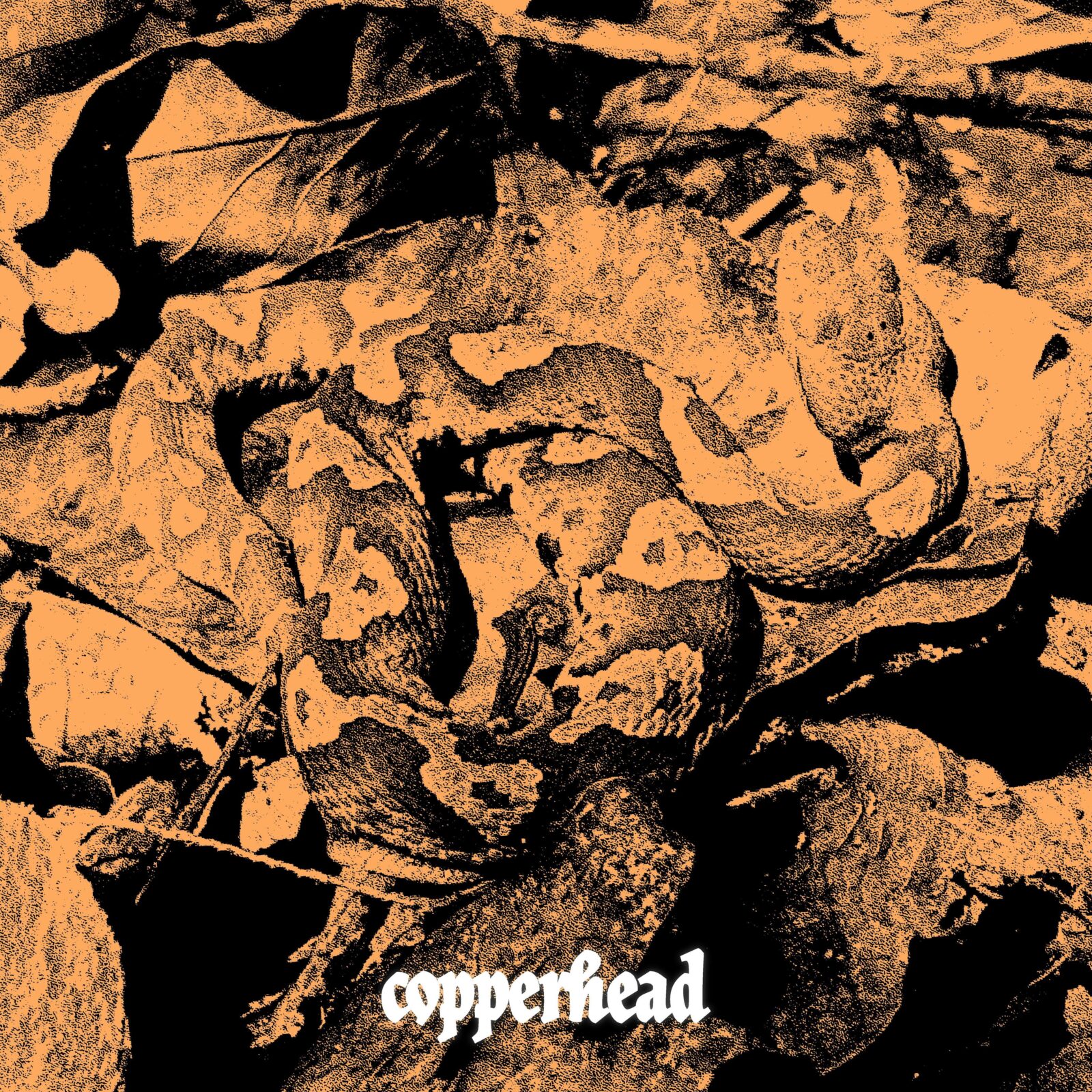 Singles: Signs Following – Cicada / Coyote / Copperhead