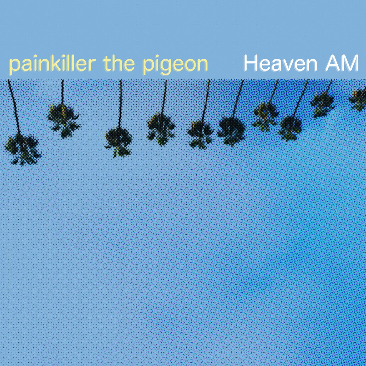 Album: Painkiller the Pigeon – Heaven A.M.