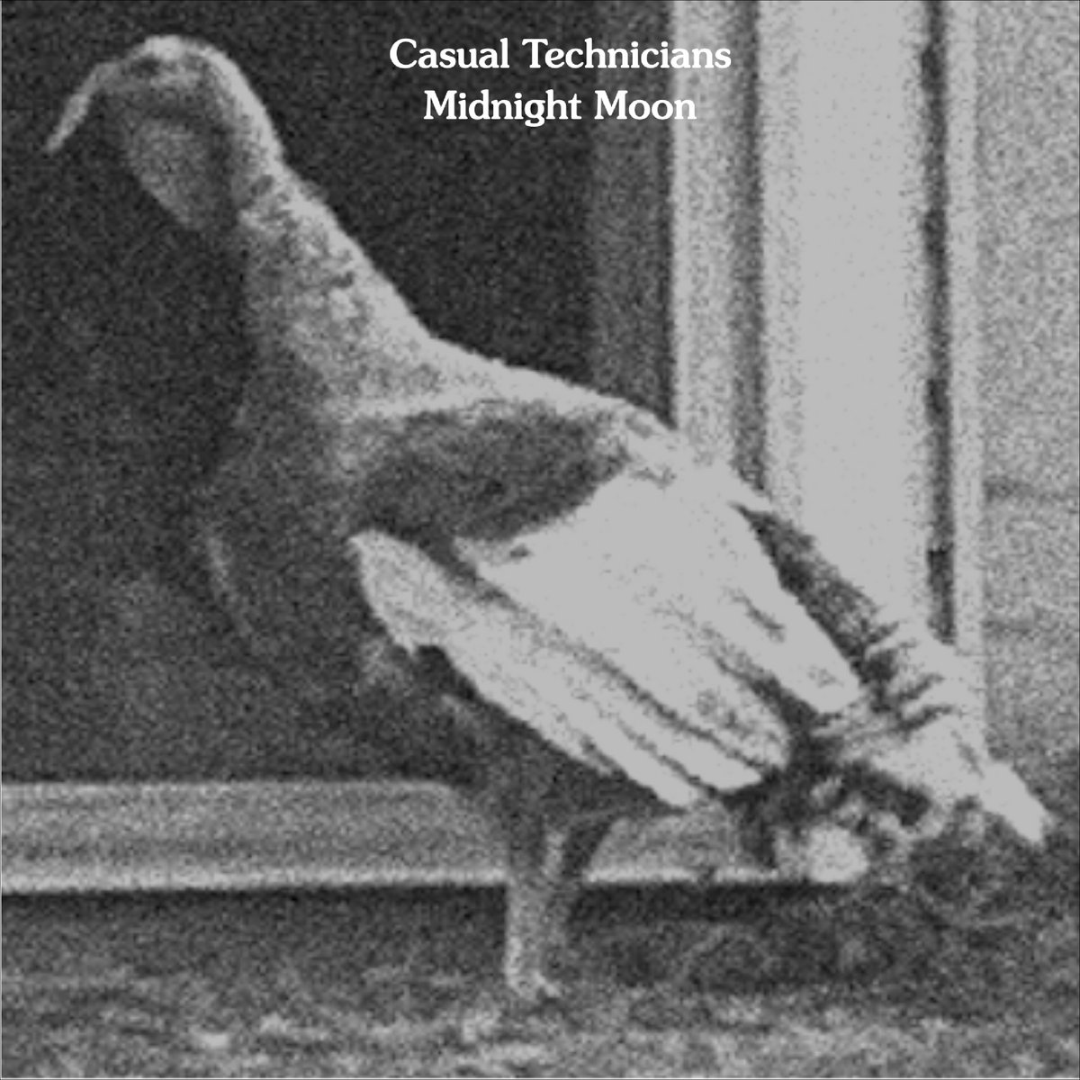 Single: Casual Technicians – Midnight Moon