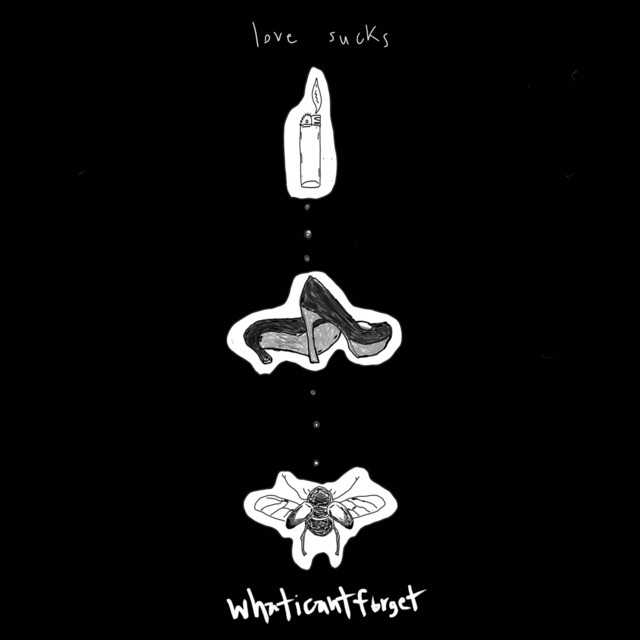 Single: whaticantforget – love sucks