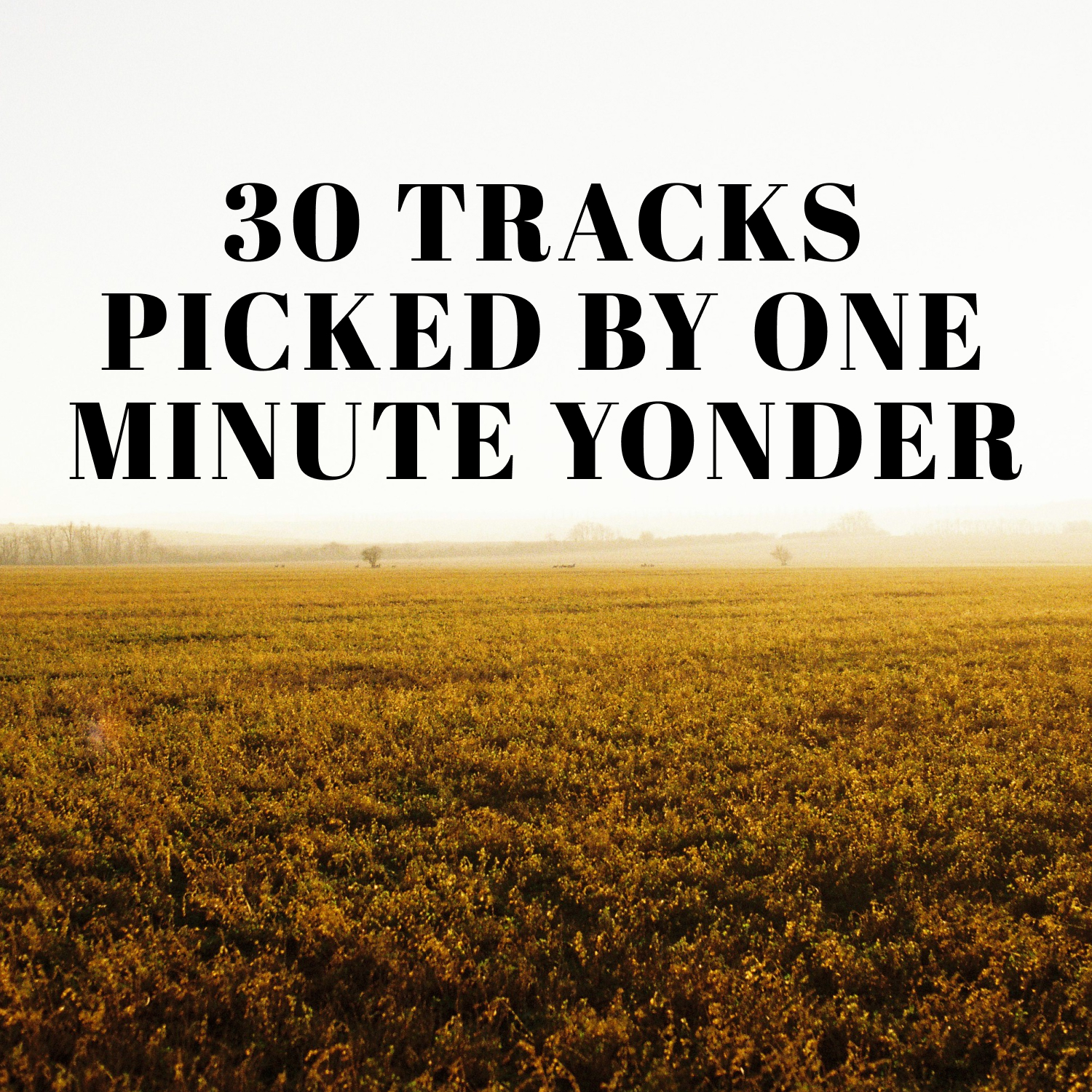 30 TRACKS PICKED BY ONE MINUTE YONDER