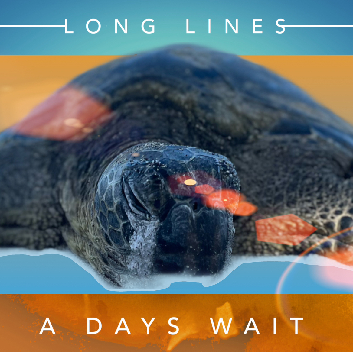 Single: A Days Wait – Long Lines