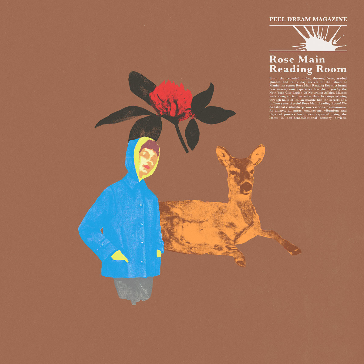 Peel Dream Magazine’s Living Room Music / Album Rose Main Reading Room: A Review