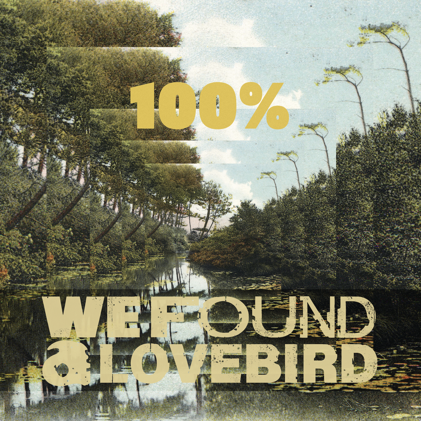 Single: We Found a Lovebird – 100%