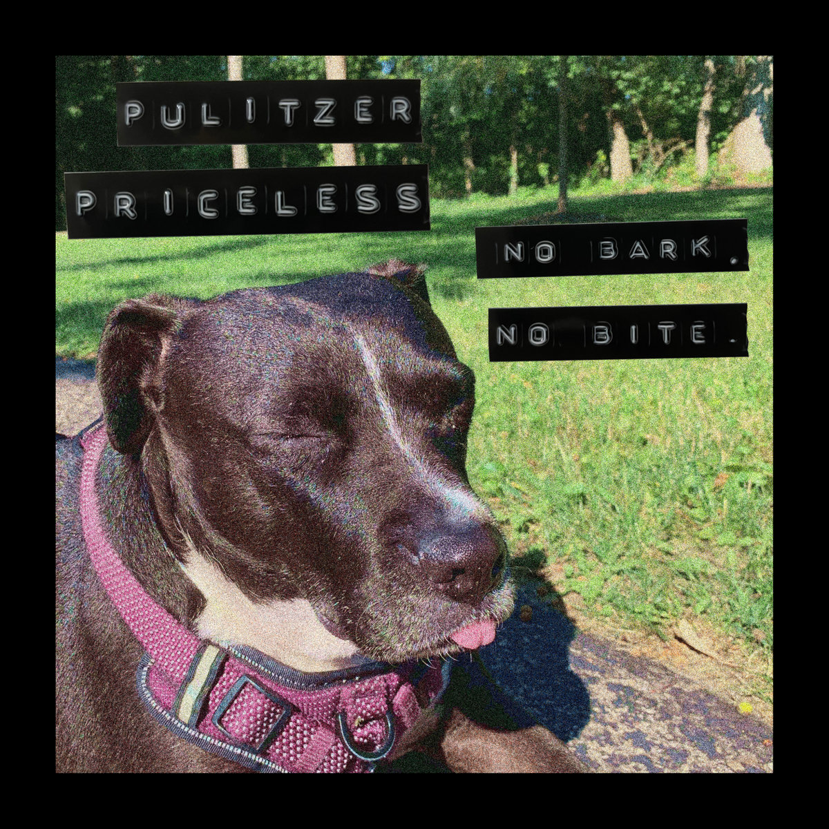 EP: Pulitzer Priceless – No Bark, No Bite