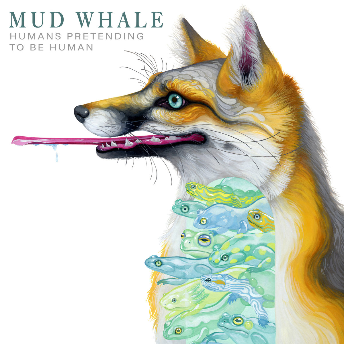 Album: Humans Pretending to Be Human – Mud Whale + Interview