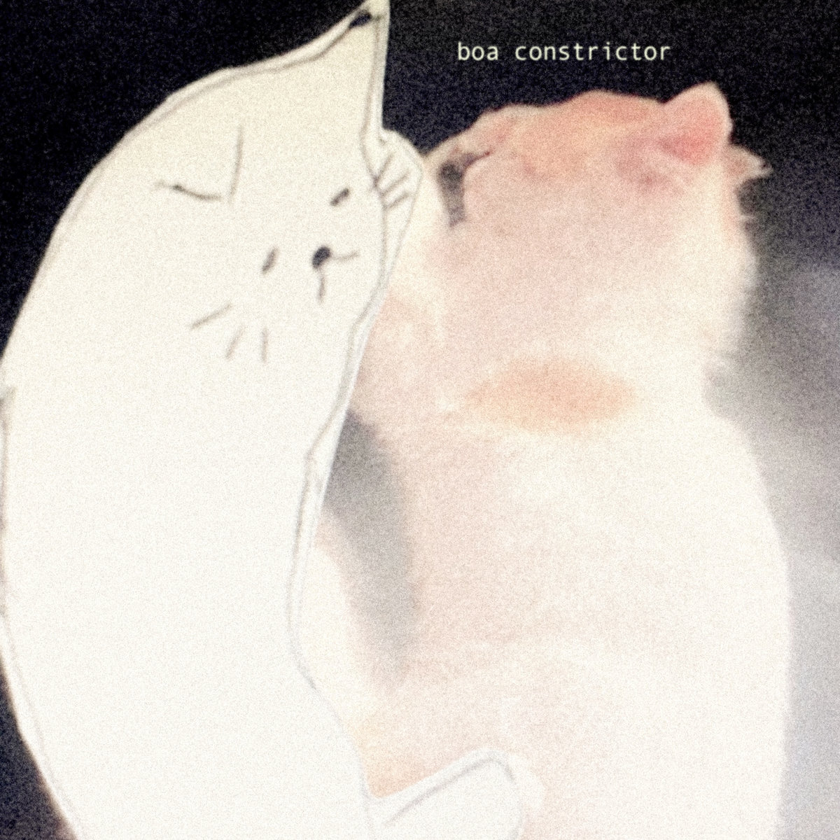 Album: djuno – Boa Constrictor