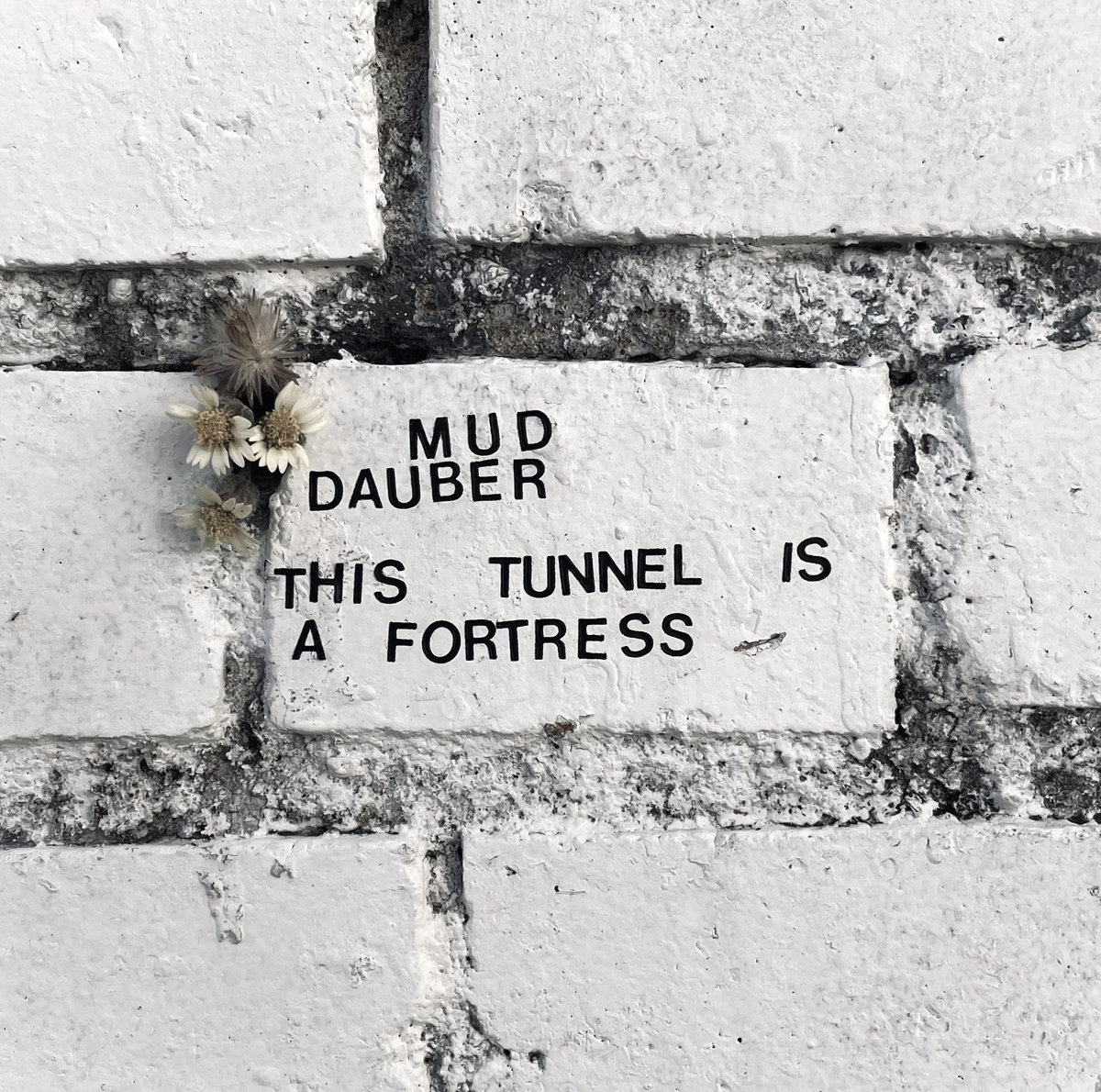 Album: Mud Dauber – This Tunnel is a Fortress