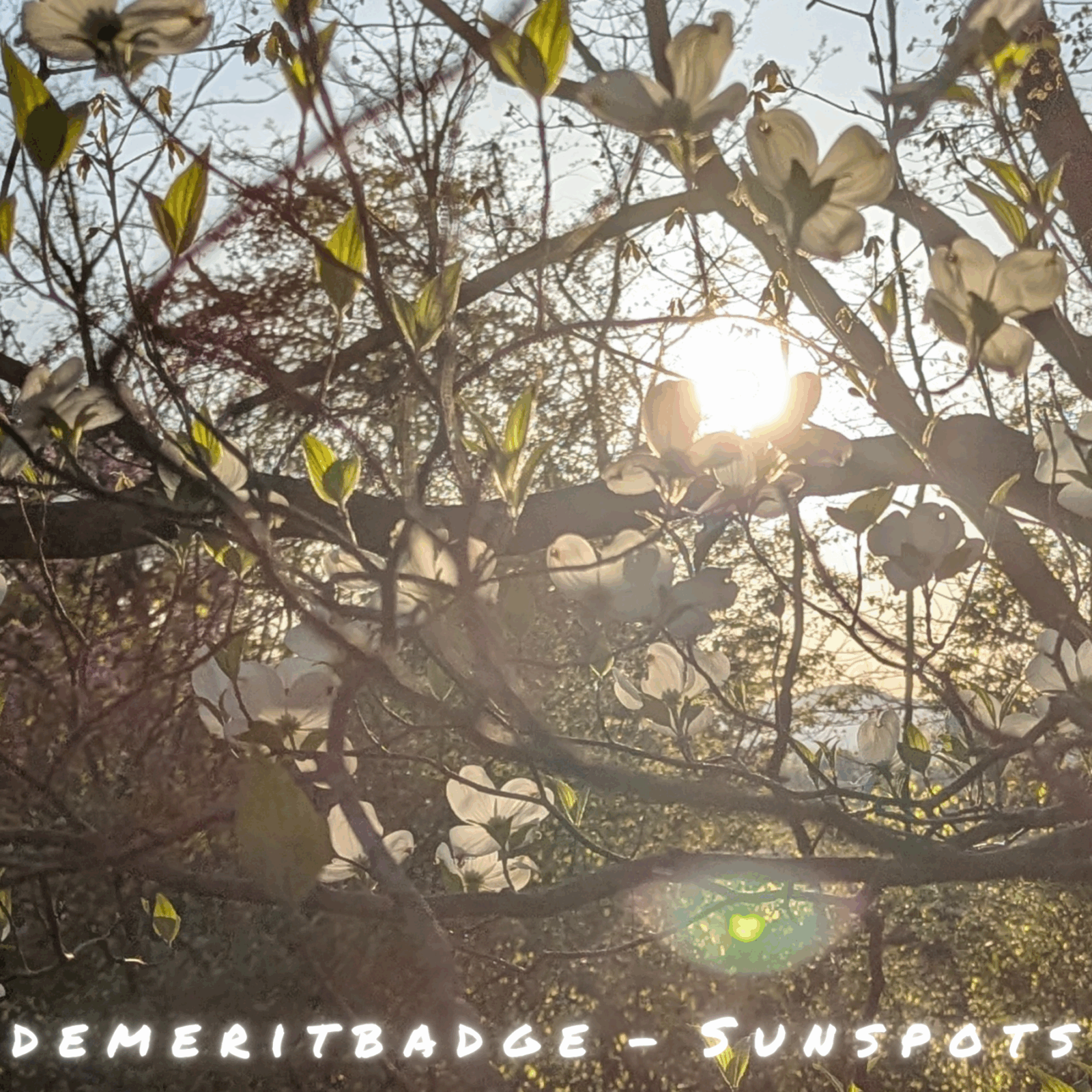 Single: demeritbadge – Sunspots