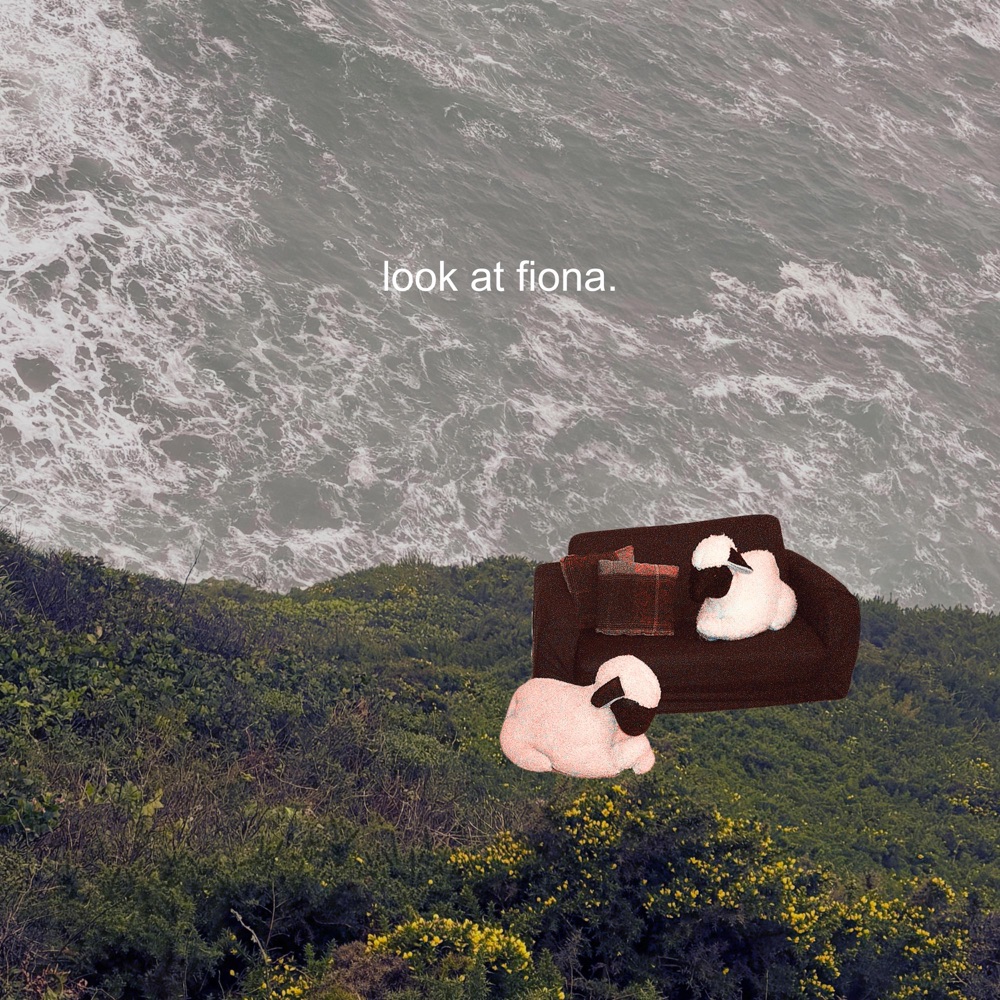 EP: look at fiona. – look at fiona.