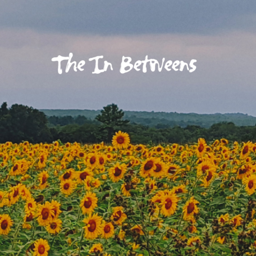 Album: The In Betweens – The Sun