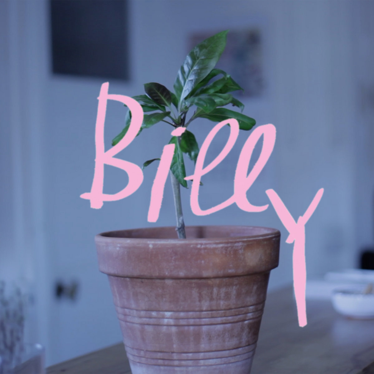 EP: Billy Bonbon – Billy