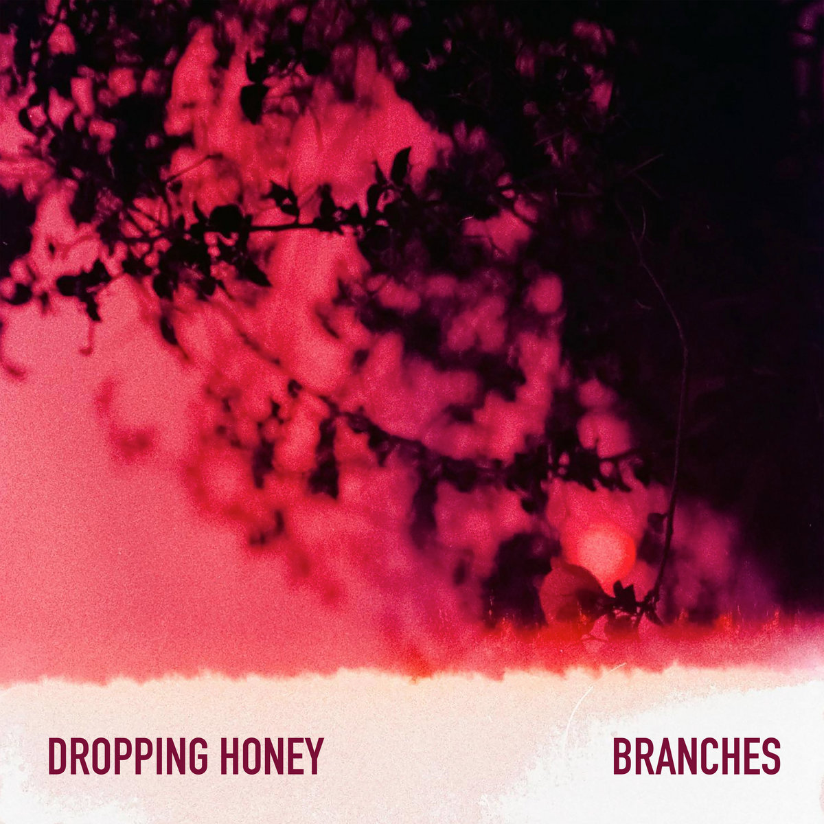 Single: Dropping Honey – Branches