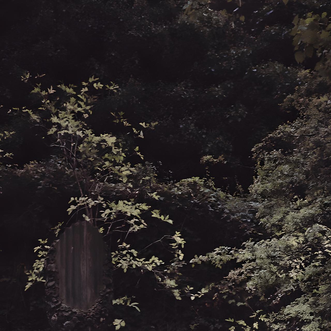 Single: Colourwash – Frogman