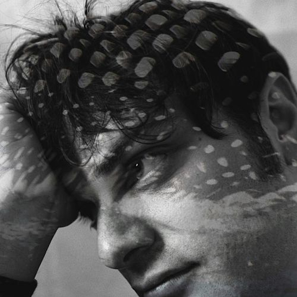 Single: Common Loon – Lonesome