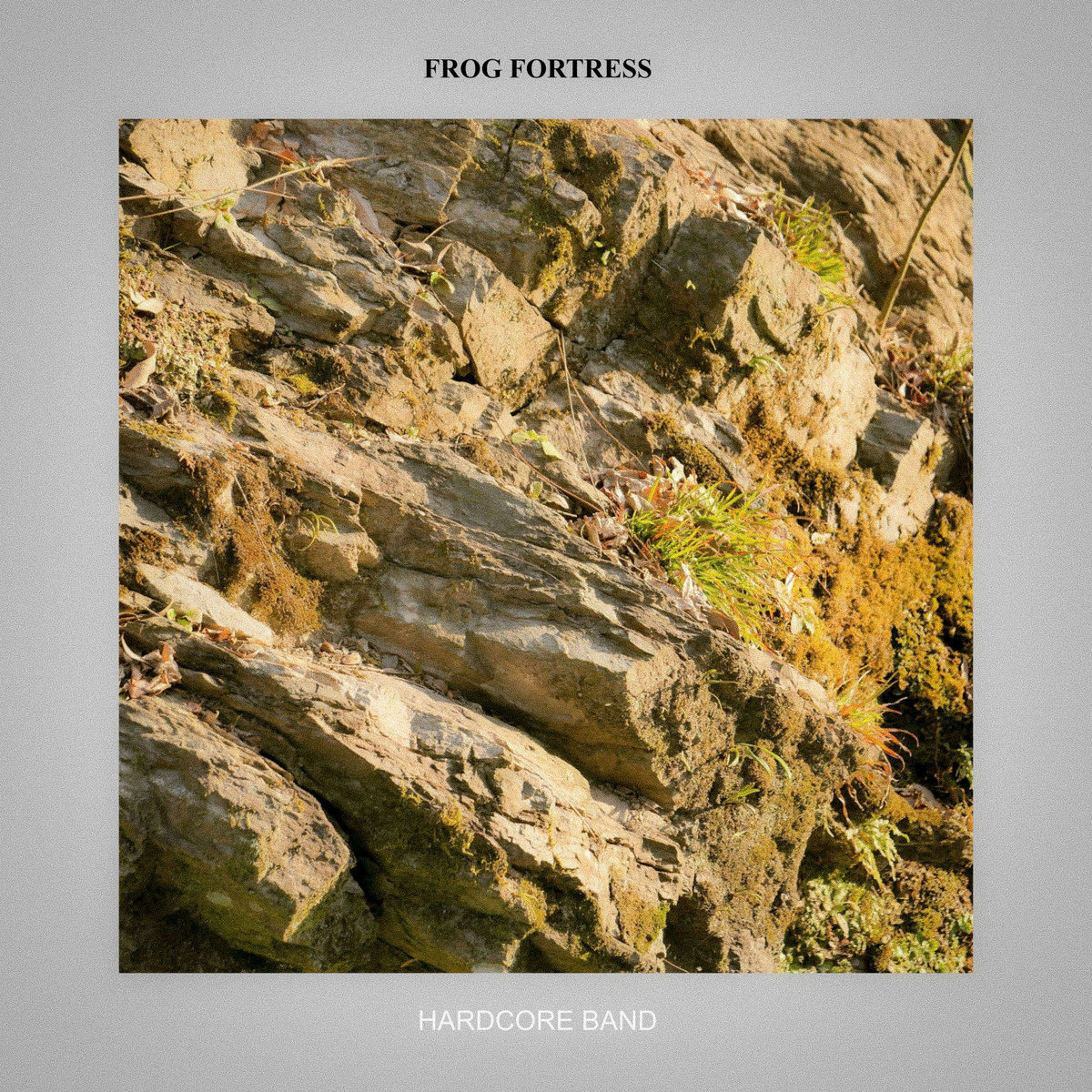 Single: Frog Fortress – Hardcore Band