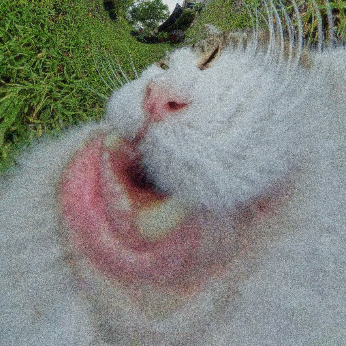 Single: Honey I’m Home – Pretty