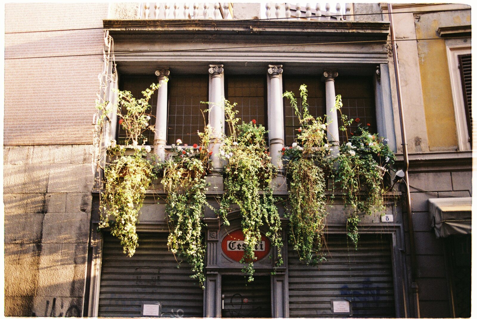 The Art of Positivity in Music