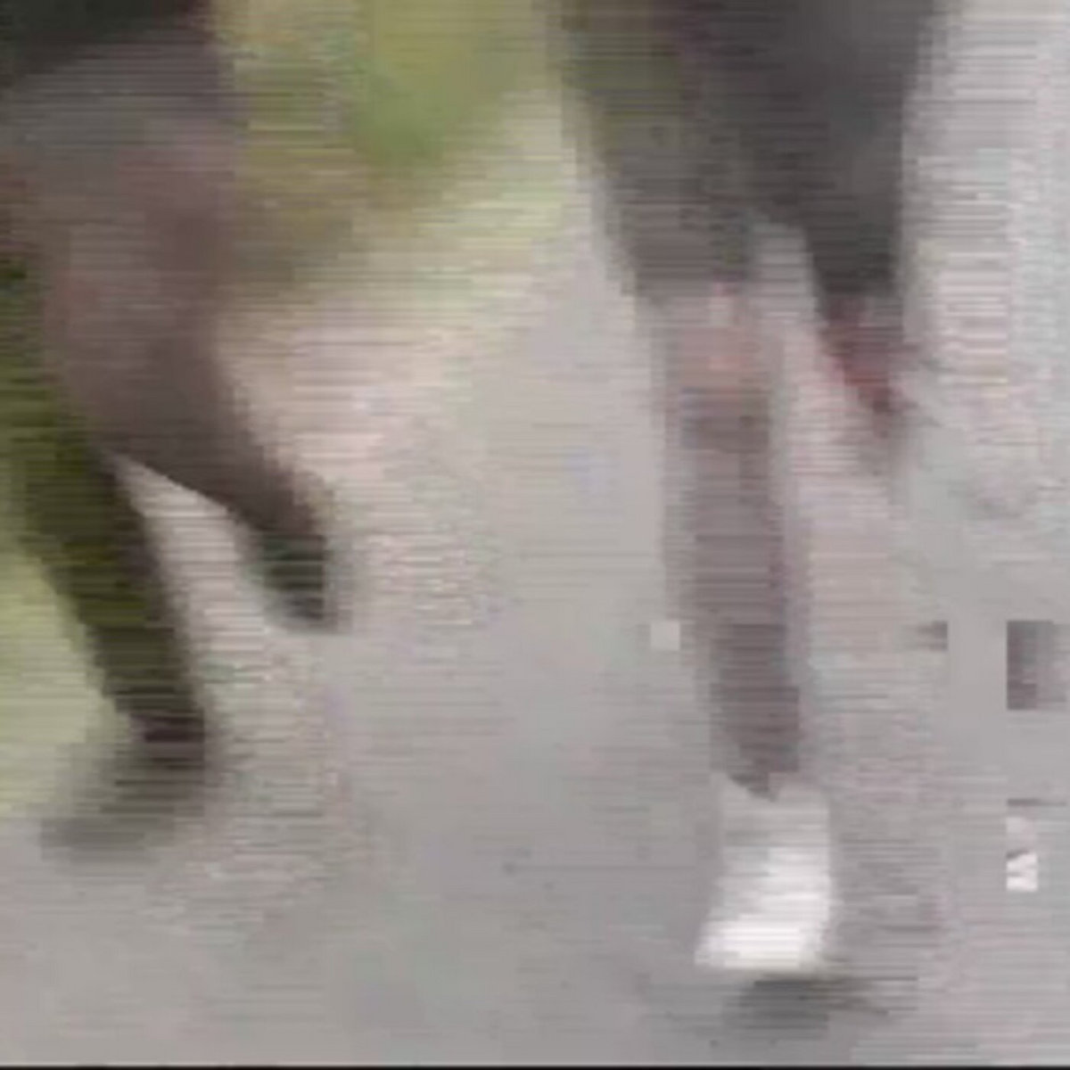 Single: Hollowblades – Slow Decay