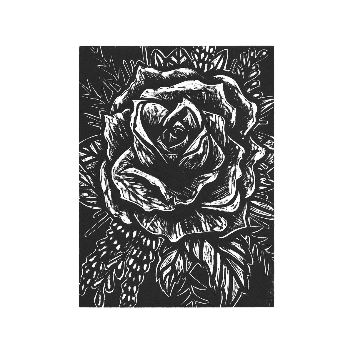 EP: Night Windows – Nonsense