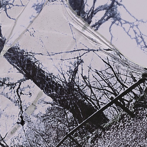 Single: shy – live and breathe