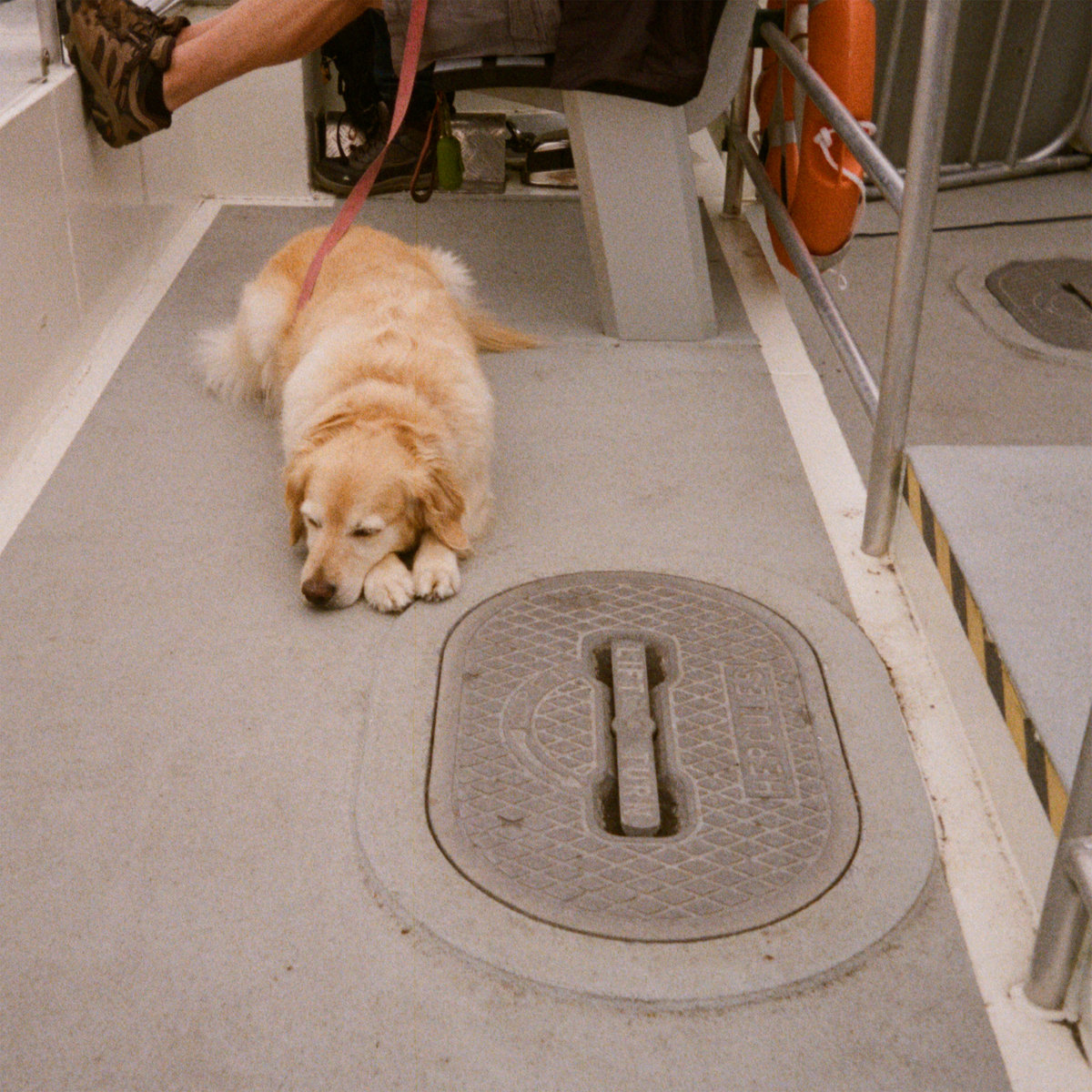 Single: Swiss Portrait – All Night