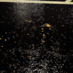 Album: Big Weather – Big Weather