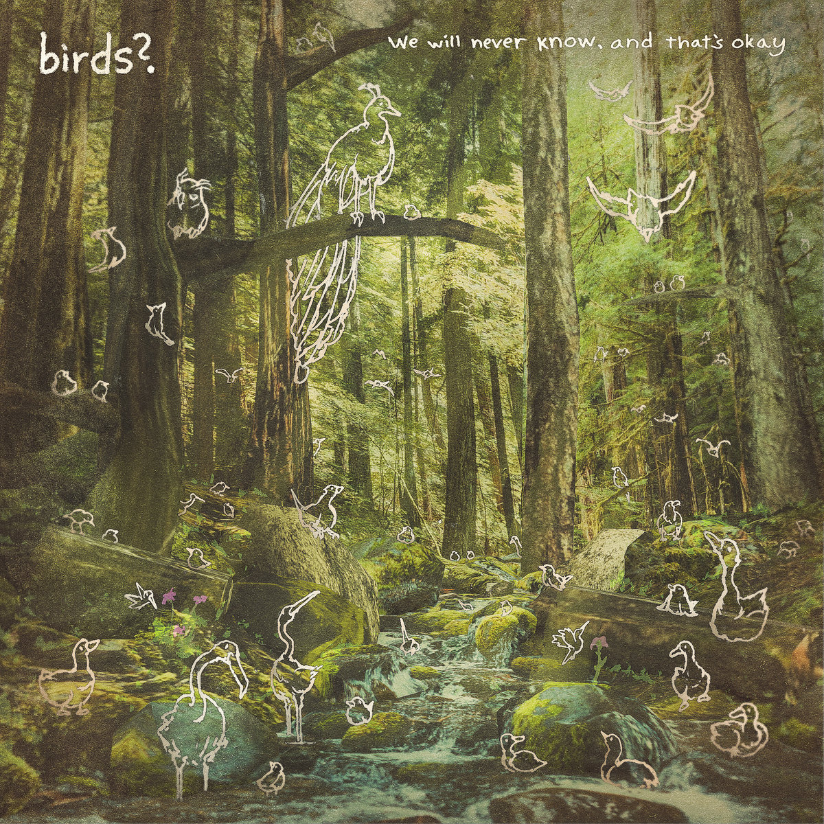 Single: Birds? – Leaves