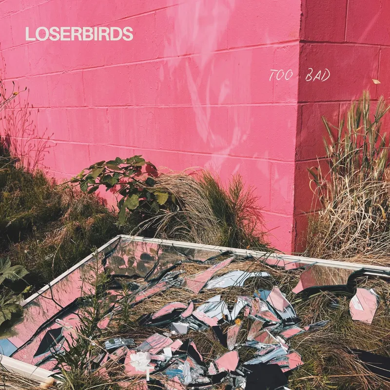 Single: loserbirds – Too Bad