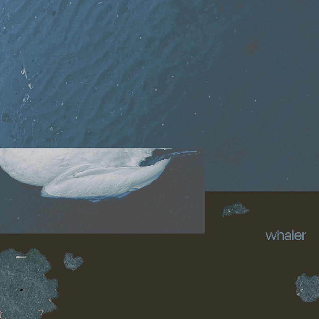 Single: Wolfschmidt – whaler