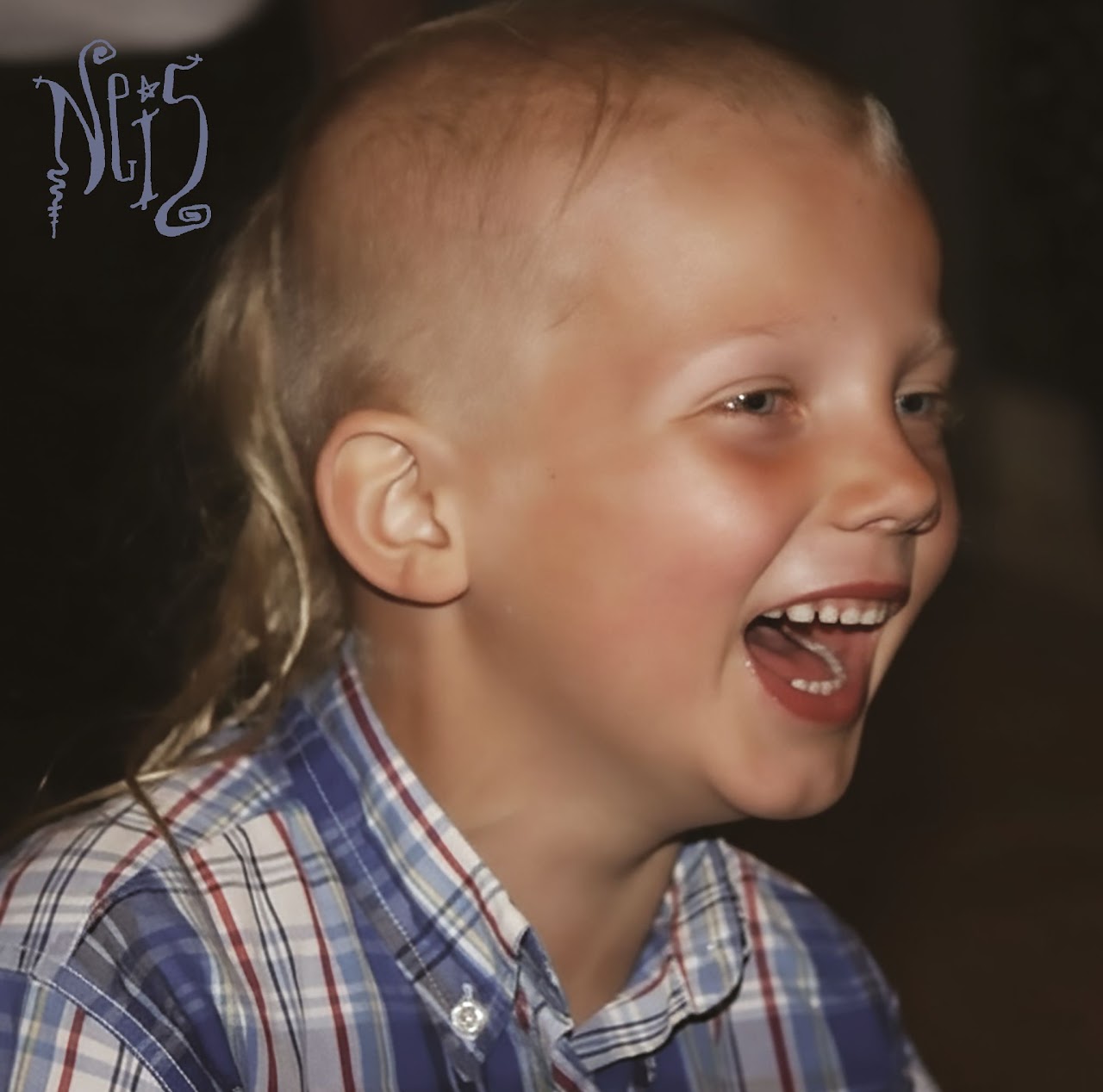 Album: NEIS – Doghouse