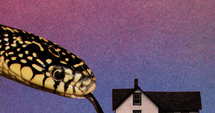 the thermals spirit collectors single cover