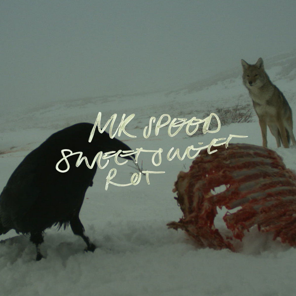 Single: Mr Speed –  Sweet Sweet Rot