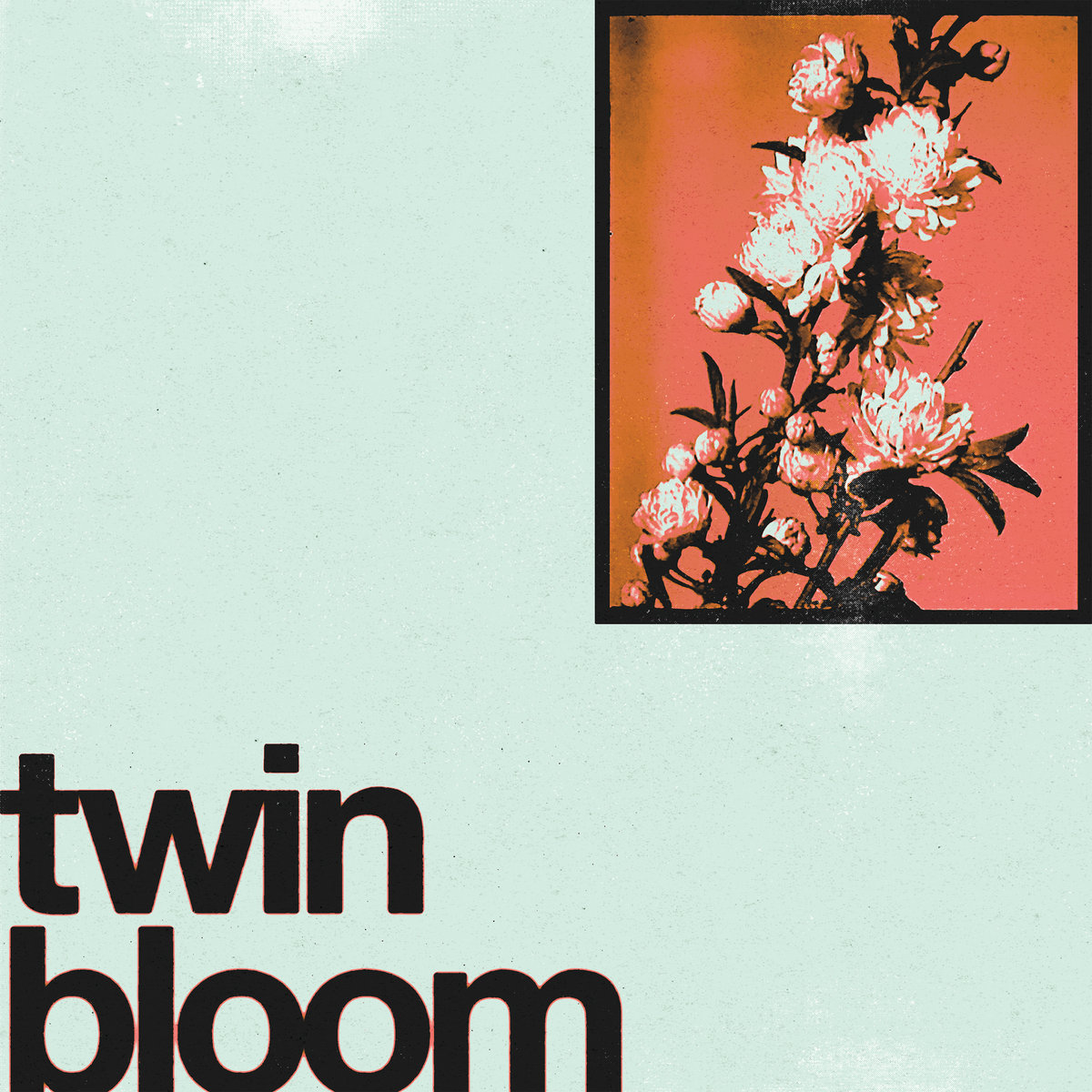 Single: Twin Bloom – Summer’s Gone