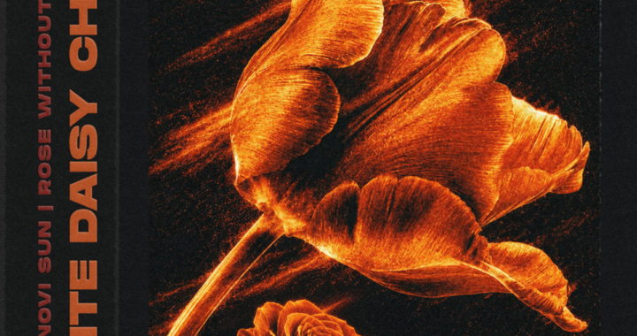 the infinite daisy chains novi sun rose without a thorn single cover