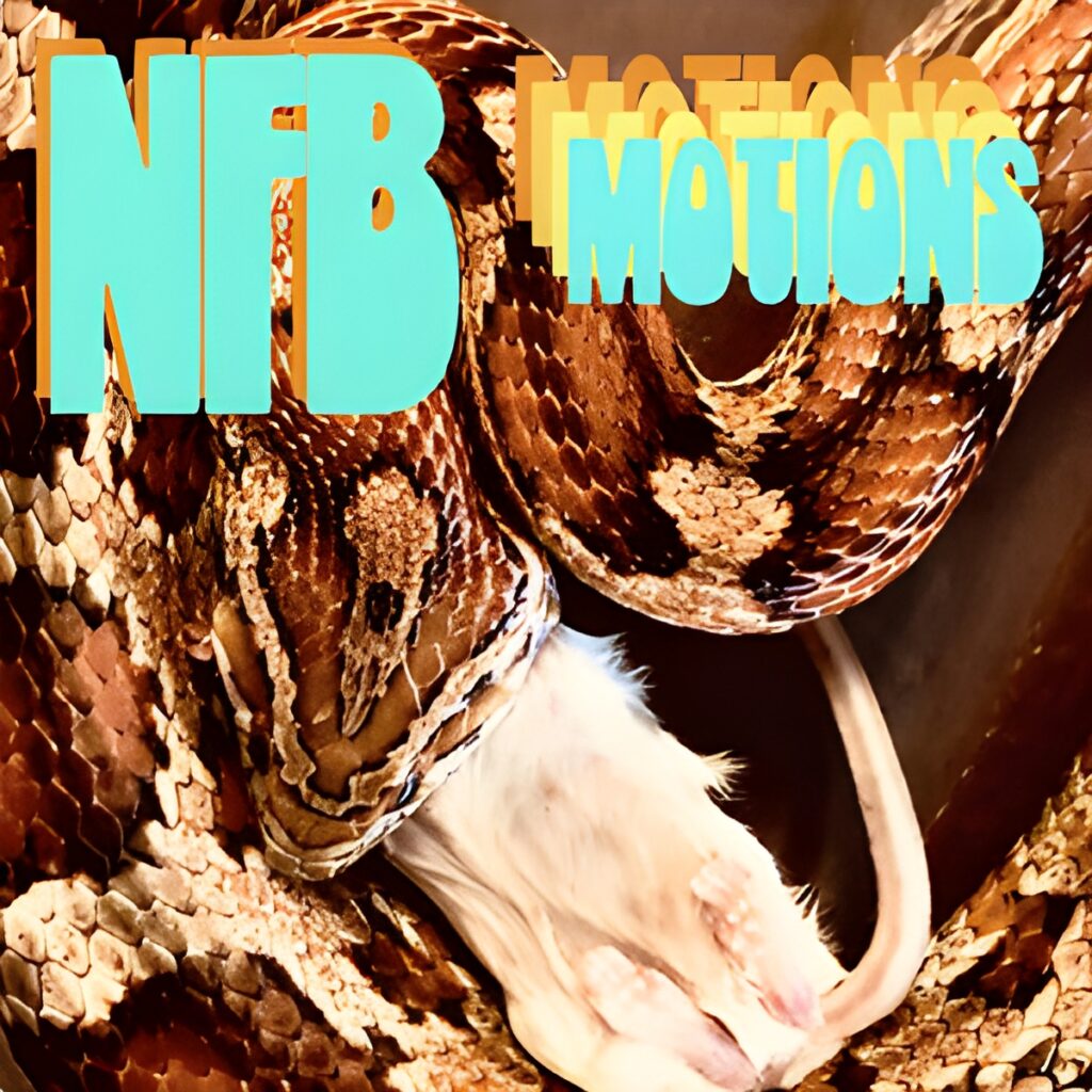 nuclear family band motions single cover