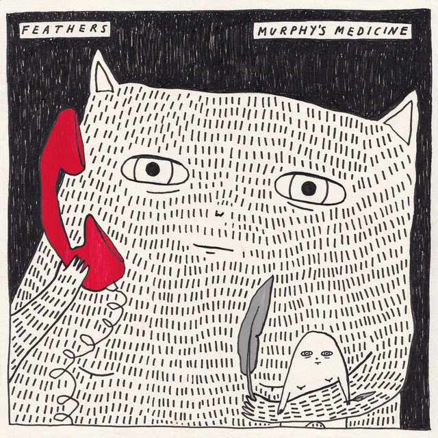 Single: Murphy’s Medicine – Feathers