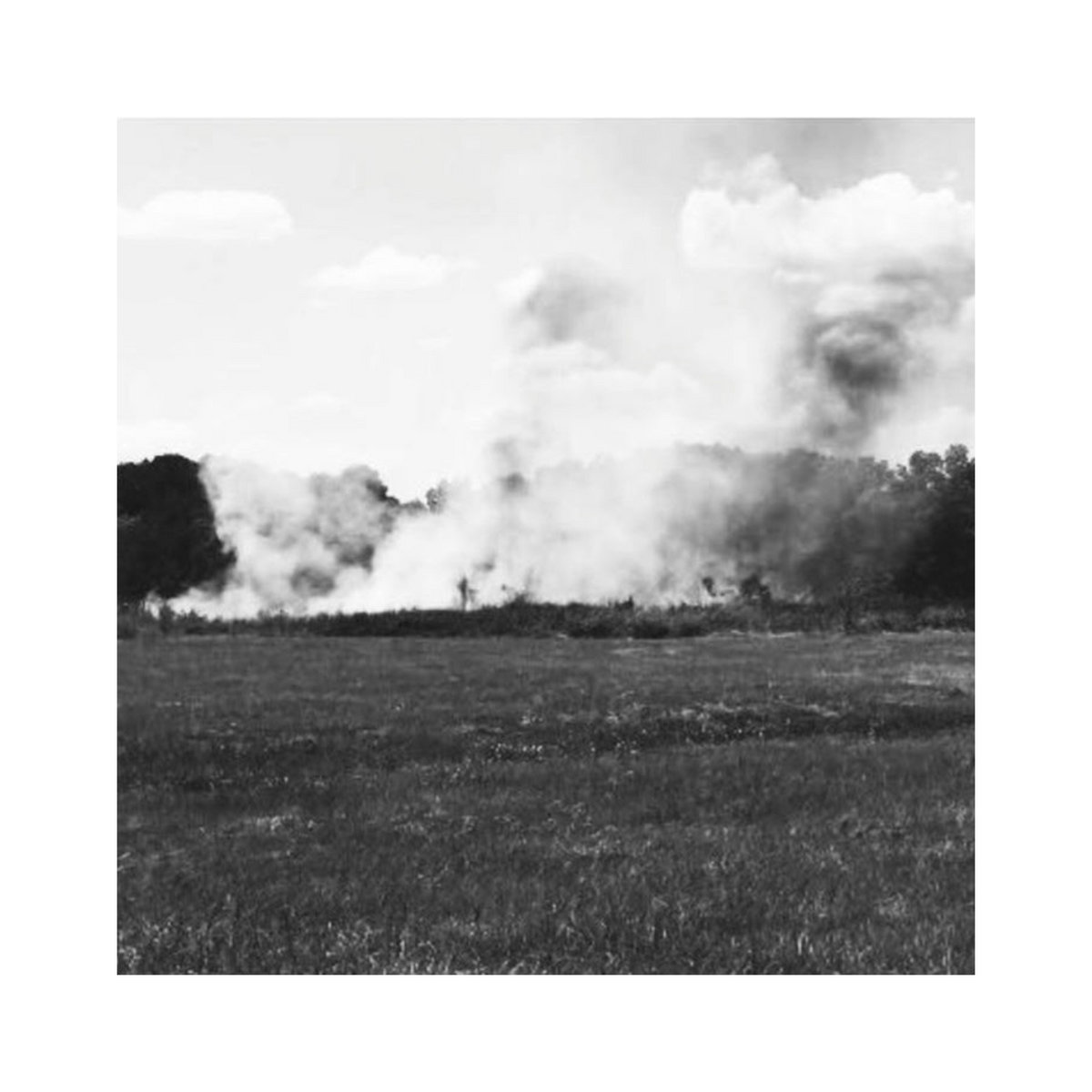 Single: Somedaze – Black Horse
